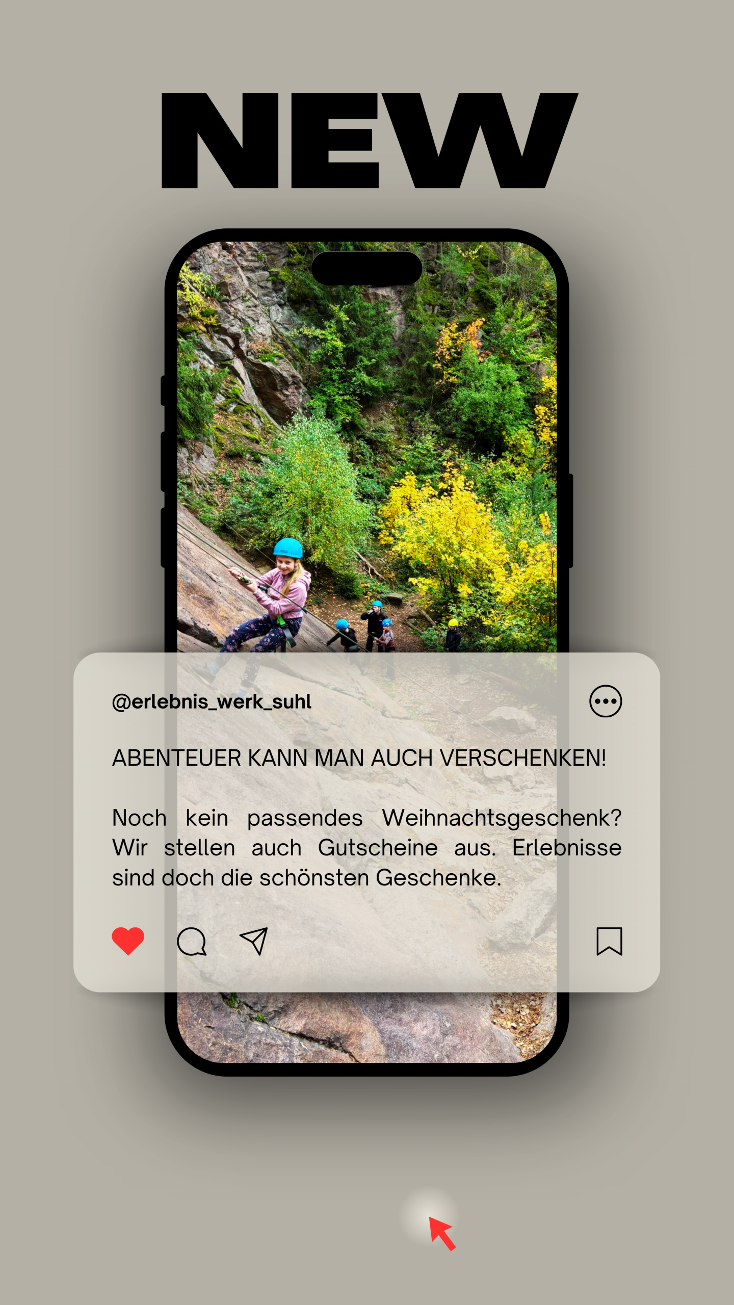 Weihnachtsgeschenk gesucht ?